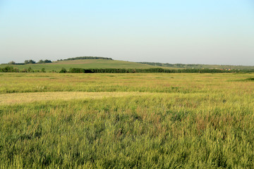 Obraz premium Green field and hill on a clear summer day