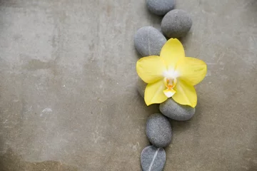 Fototapeten gray stones and yellow orchid on gray background © Mee Ting