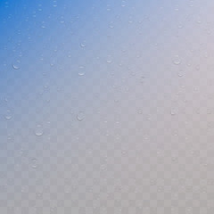 Realistic water drops on transparent background. Rain droplets for transparent surface. Pure water bubbles isolated. Vector clear vapor water bubbles on window glass surface for your design.