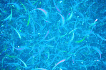 Fire sparks.Abstract fantasy ornament pattern. Creative fractal design for greeting cards or t-shirts