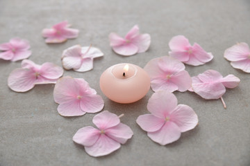 Many Pink hydrangea petals with candle in stone bowl on gray background