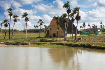 Bonito paisaje rural cubano