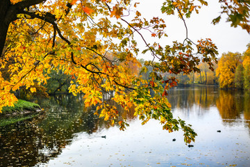 Autumn landscape. Beautiful lake and trees with yellow, green and red leaves. Colorful forest in fall season.