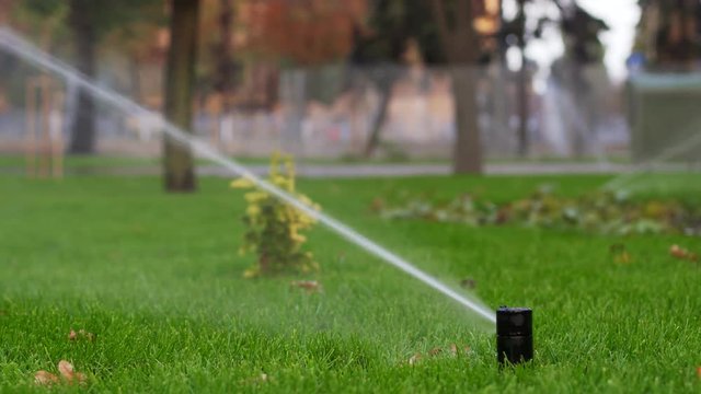 Garden irrigation sprinkler watering lawn in the park near walkway. Automated rotating irrigation system. Green grass and landscape design. Camera on slider, tracking shot in 4k.