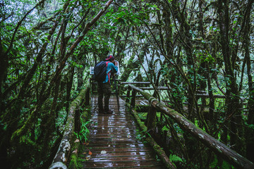 Asian man travel nature. Take a picture Nature Study in the Jungle at Chiangmai in Thailand.