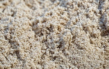 Sand