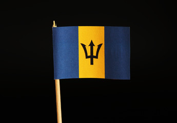 A special official Flag of Barbados on wooden stick on black background. Flag is formed black...