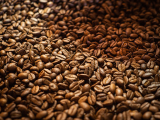 coffee beans just roasted