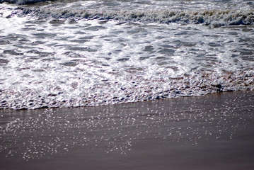 PAISAJE PLAYA