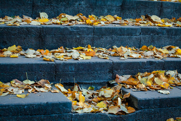 The steps of the old staircase are covered with autumn leaves.