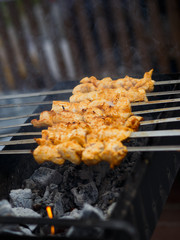 char-grilled chicken meat