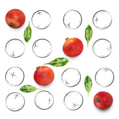 Fruit composition with fresh pomegranate and cartoon cute doodle drawing elements on white background. Creative minimalistic food concept.