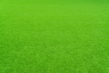 Perspective , Green grass background