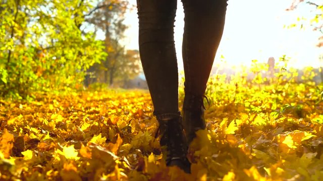Legs of a woman in black boots walking through the autumn forest, yellow leaves fly around