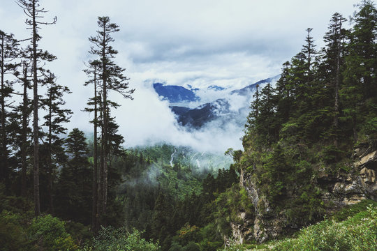 Fototapeta Cloudy weather in the green mountains