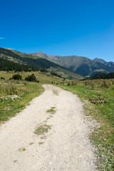 Naklejka na ściany i meble Road to Montgarri in the valley of Aran