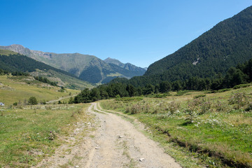 Fototapeta na wymiar Road to Montgarri in the valley of Aran