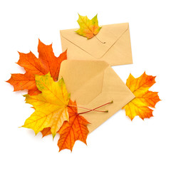Craft paper envelope with autumn leaves isolated on white background. Top view.