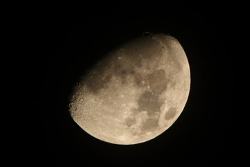 上弦の月：月齢10.4