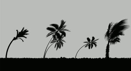 Palm trees during storm and hurricane. Leaves fly across the sky from a storm. Vector Illustration