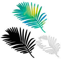 Obraz premium white background, watercolor palm leaf