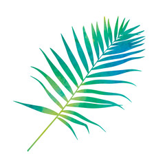 watercolor green silhouette palm leaf