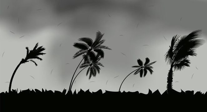 Palm trees during storm and hurricane. Leaves fly across the sky from a storm. Vector Illustration