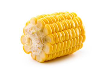 Corn on a white background