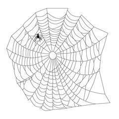 Obraz premium Halloween spider web