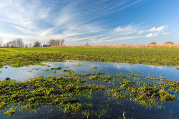 Puddles on a green field and blue sky