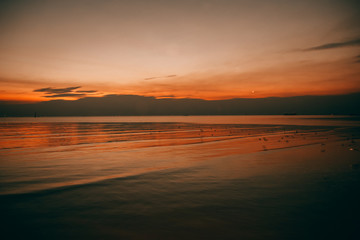 Beautiful sunset in Thailand. Silhouette tone.
