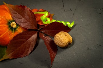 Autumn still life with leaves, pumpkin and nuts