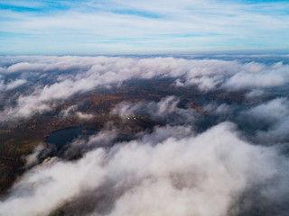Obraz premium Widok z lotu ptaka na las w żywych kolorach jesieni. Widok z lotu ptaka na brzeg morza z kamieniem. Linia brzegowa z piaskiem i wodą. Widok z lotu ptaka na las z żółtymi drzewami i krajobrazem jeziora z góry