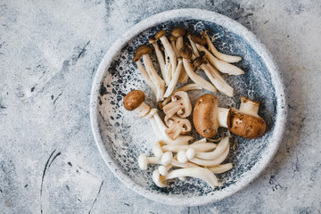 Fototapeta premium Variety mushrooms. Enoki mushrooms, Shiitake, Brown beech mushroom (Shimeji), copy space concrete table 
