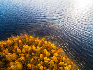 Aerial view over forest during vibrant autumn colors. Aerial view of seashore with stone. Coastline with sand and water. Aerial drone view of forest with yellow trees and lake landscape from above