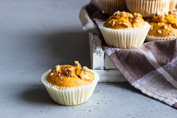 Fall pumpkin muffins with walnuts. Copy space