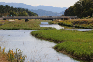 京都ぶらり、秋の鴨川に光る水面