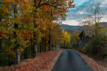 Autumn  landescape Closani 
