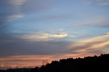 Obraz premium The forest silhouette against the morning sky
