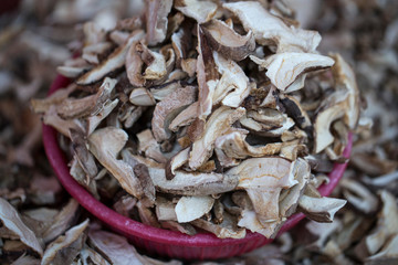 dried shiitake mushrooms isolated