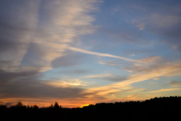 Fototapeta na wymiar The forest silhouette against the morning sky