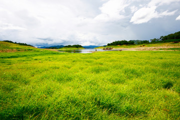 Fototapeta premium Landscape of Green Moss and meadow grass growing on cracked clay land near the lake in forest mountain at Thailand