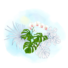 A composition of tropical plants, palm leaves