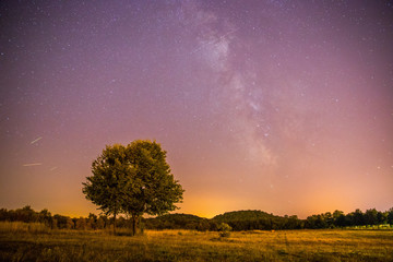 Milchstraße in der Nacht. Baum, Felder, Hügel und violetter Himmel