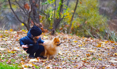 a child in the Park playing with a dog
