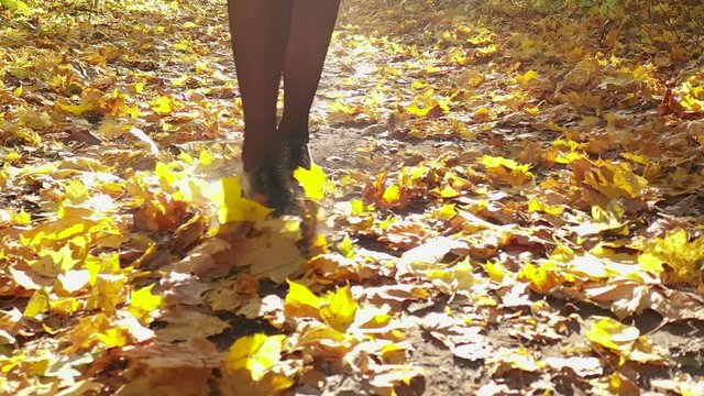 Legs of a woman in black boots walking through the autumn forest, yellow leaves fly around. Slow motion