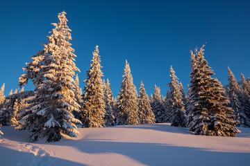 Magic sunrise in the winter mountains after snowfall