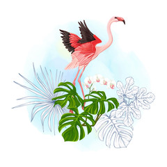 A composition of tropical plants, palm leaves