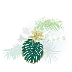 A composition of tropical plants, palm leaves