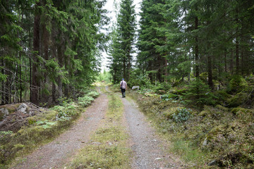 Walking in the woods